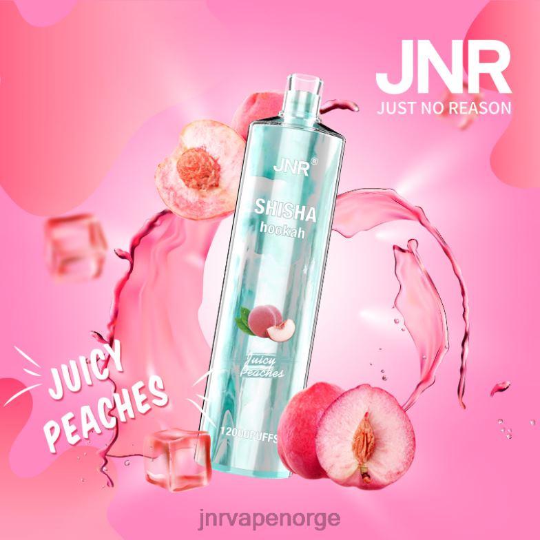 jnr shisha saftige fersken | JNR Vape Pods 84N02180